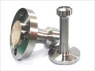 Stainless Steel 304L Nipo Flange