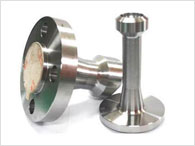 Stainless Steel 310 Nipo Flange