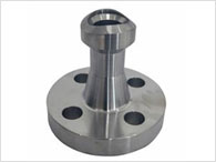 Monel Weldo Flange